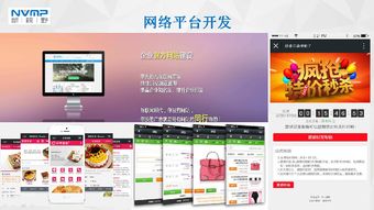 瓊海市互聯網協會會員風采 海南新視野企業營銷策劃服務有限公司——深耕本土，智創未來