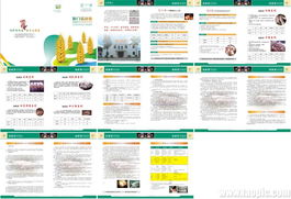 飼料產(chǎn)品技術手冊 技術轉讓與咨詢全解析