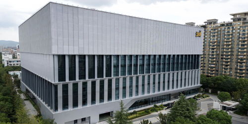 文化與科技雙輪驅動 探訪卡游未來工廠感受澎湃活力